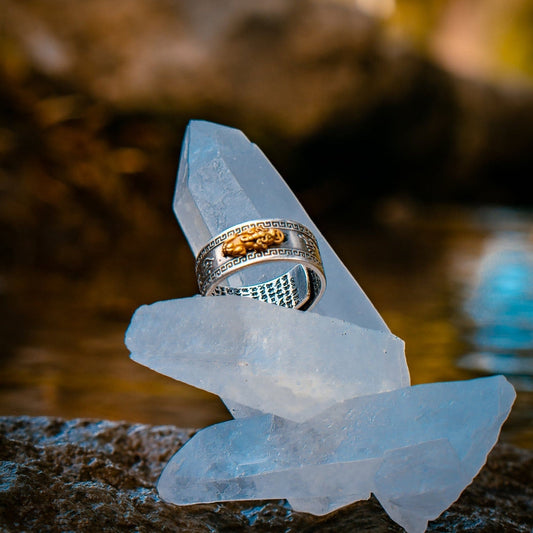 Anillo Feng Shui de la Suerte – Atrae Prosperidad y Energía Positiva